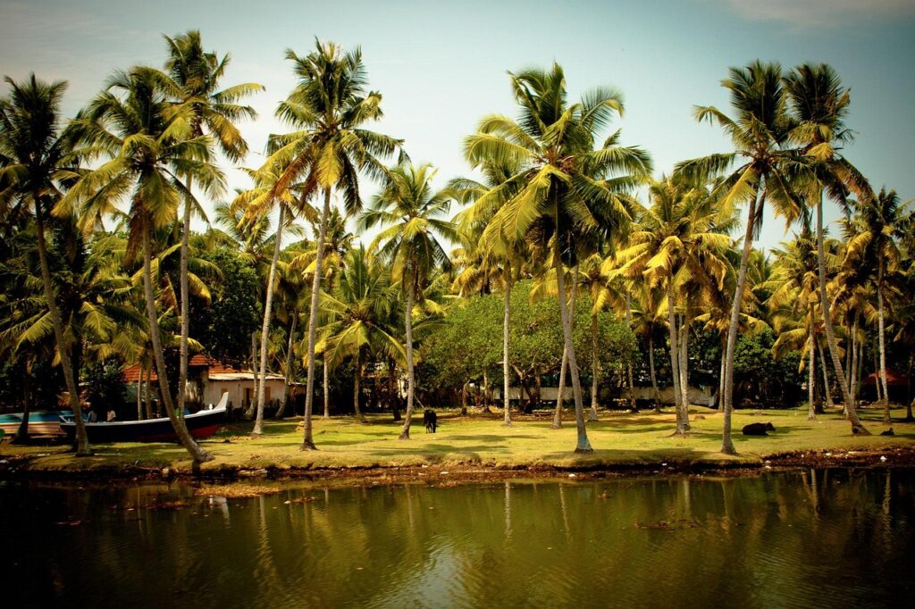 Top 1 Discover Kerala with MK Tours & Travels