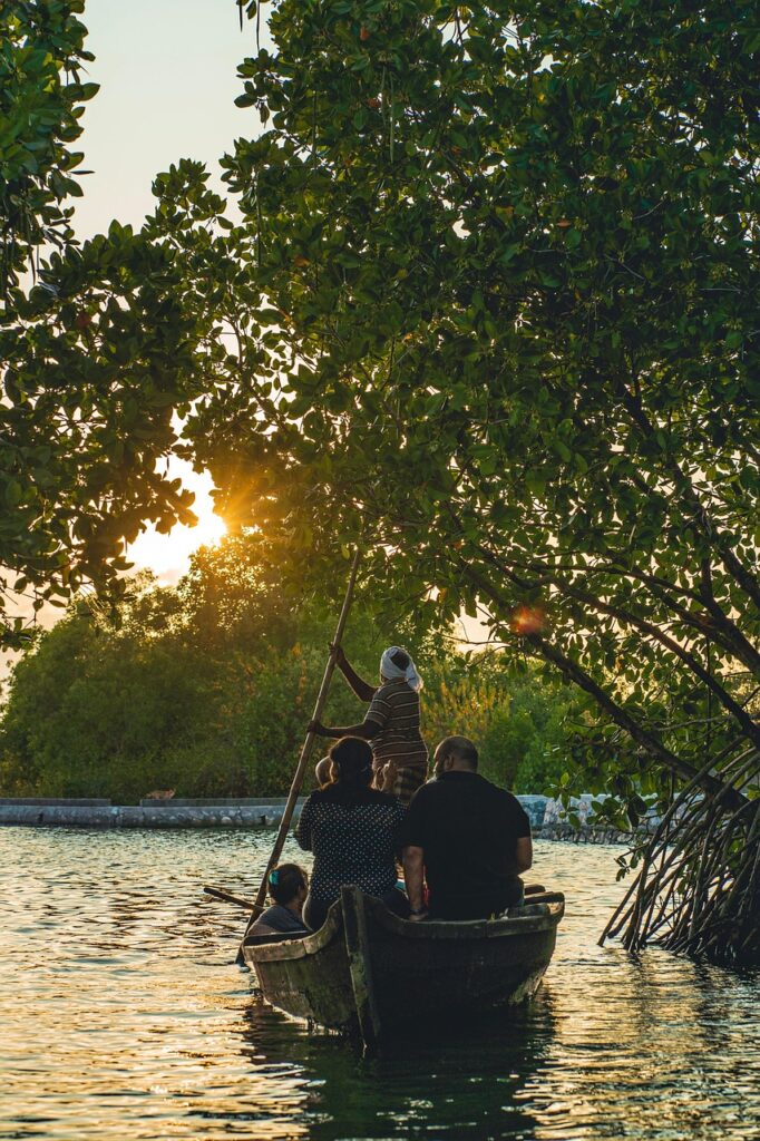 backwater, kerala, sunset, row boat, asia, garden, india, island, kerala tourism, lake, nature, landscape, munroe island